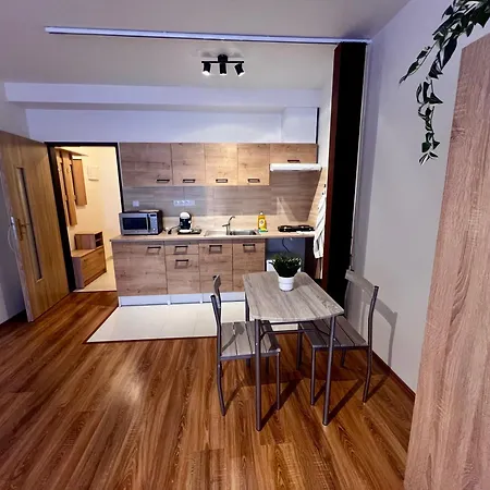 Apartment Libusina